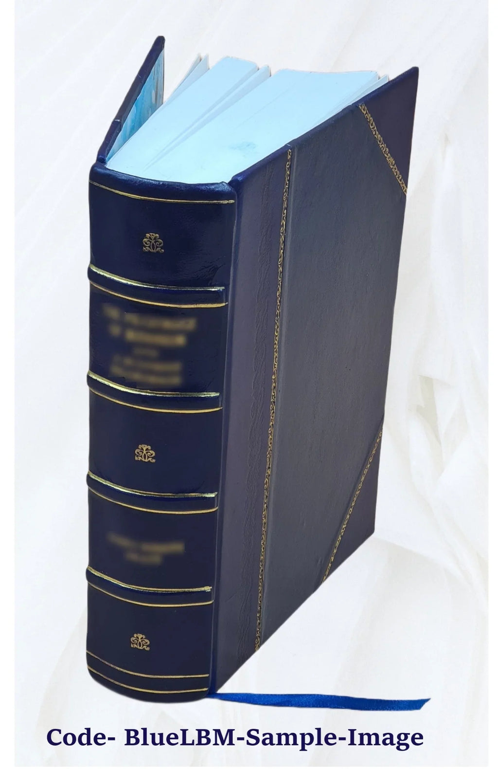History of Monmouth and Wales / by Harry H. Cochrane ... illustrated by the author ... Volume v.2 1894 [Leather Bound]