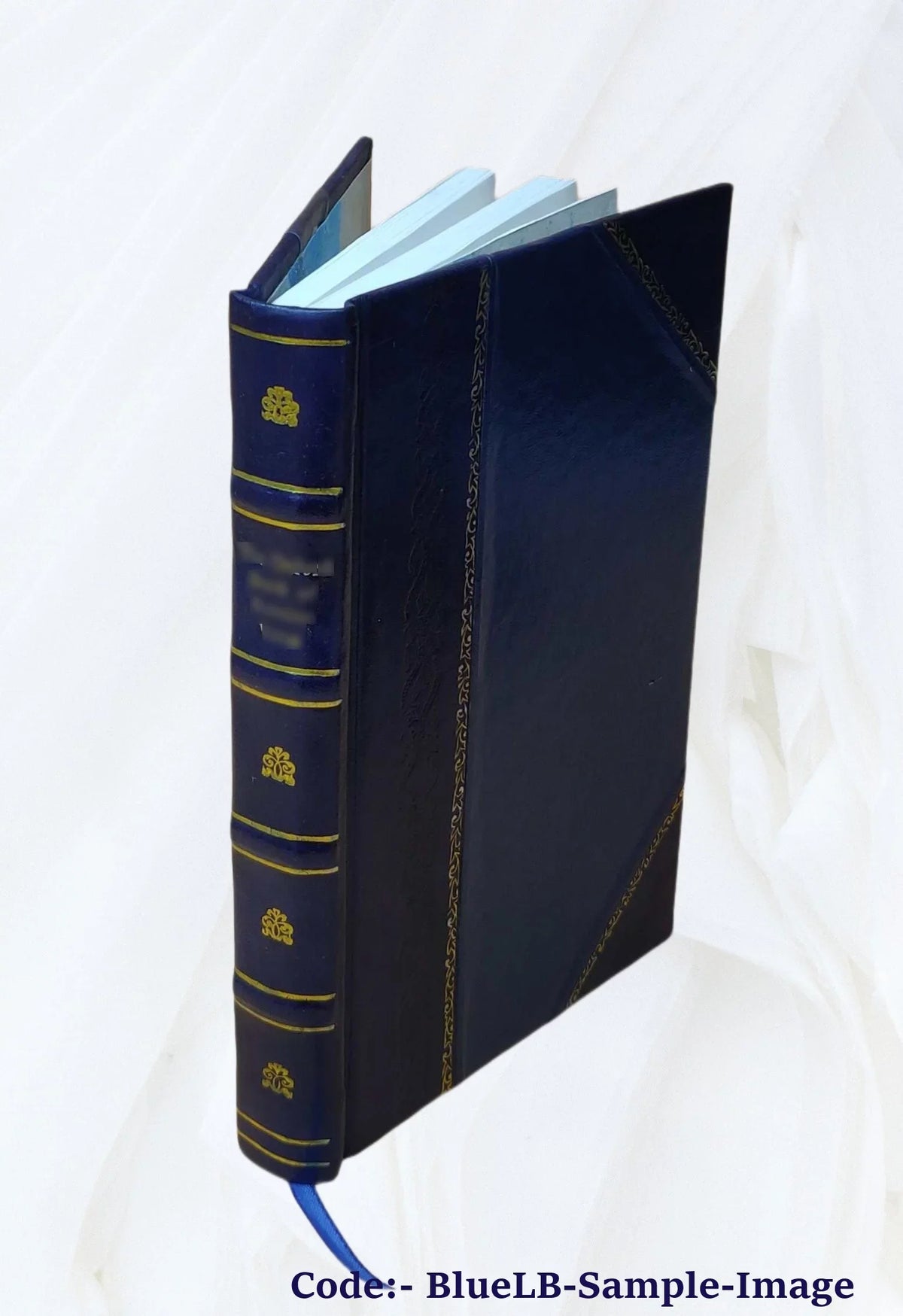 Nice, Cannes, Antibes, Monaco, Menton, San Remo. 1874 [Leather Bound]