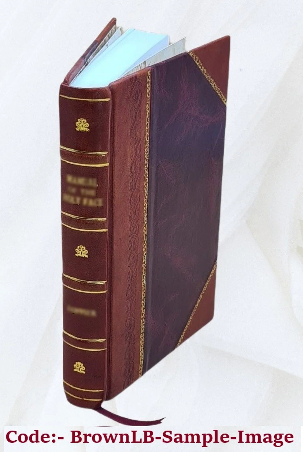 La paix et le trève de Dieu : histoire des développements du Tiers-état par l'église et les associations de la fin du Xe siècle à la fin du XIIIe / par Ernest Semichon. Volume v.1